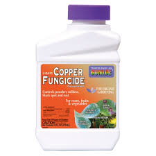 bonide-copper-fungicide