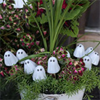ghost figures in pot