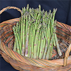 asparagus