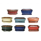 bonsai pot