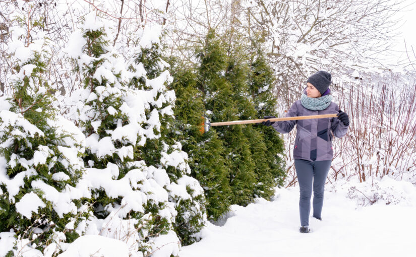 Late Winter Gardening: Simple Tasks That Set You Up for Spring